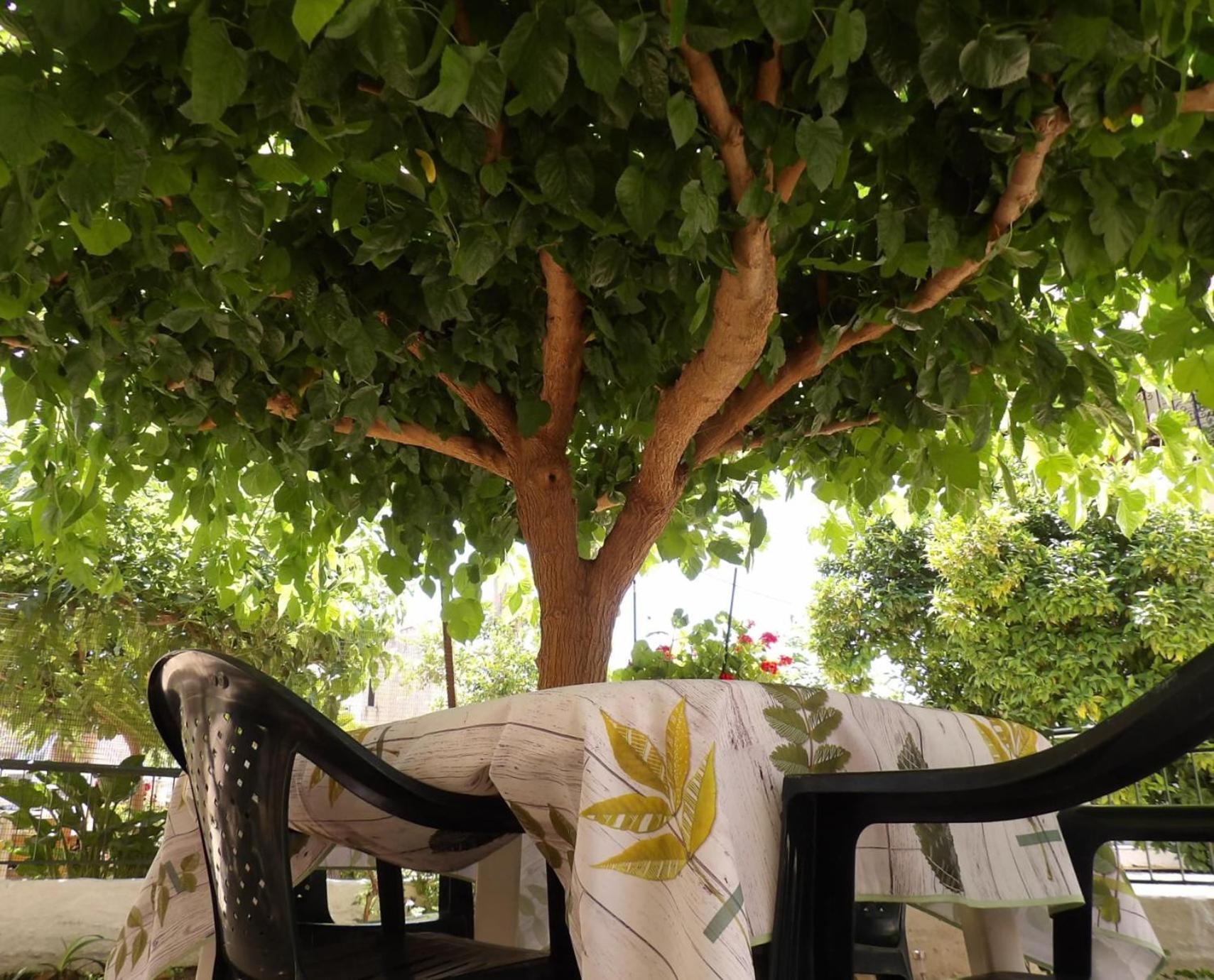 Vivari'S Family House Nafplio Luaran gambar